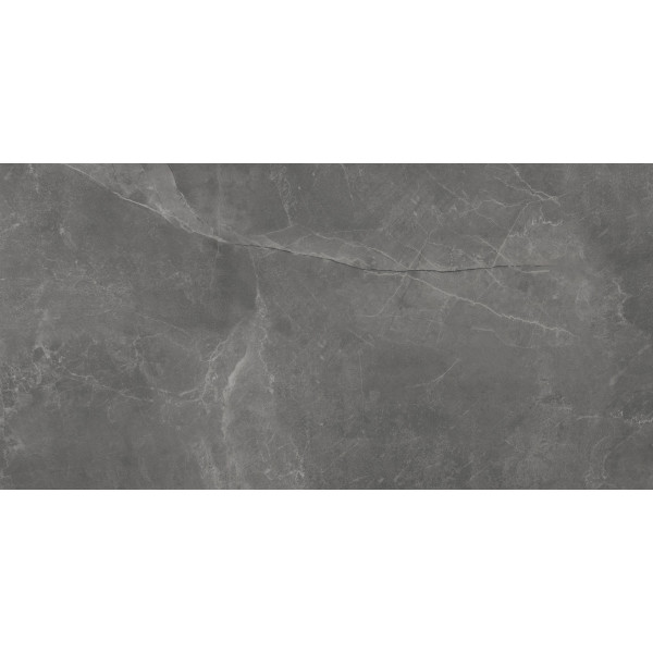 Cerrad Stonemood grey 119,7*59,7 керамогранит