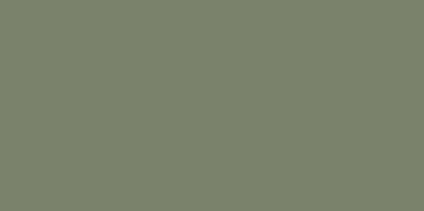 Cielo e Terra Verde MAT 119,8x59,8 керамогранит