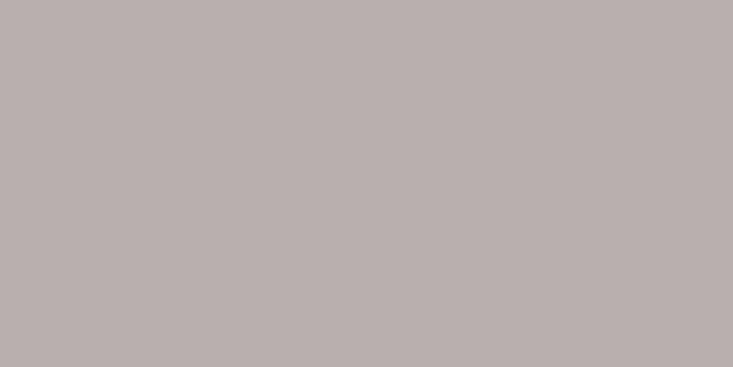 Cielo e Terra Marrone MAT 119,8x59,8 керамогранит