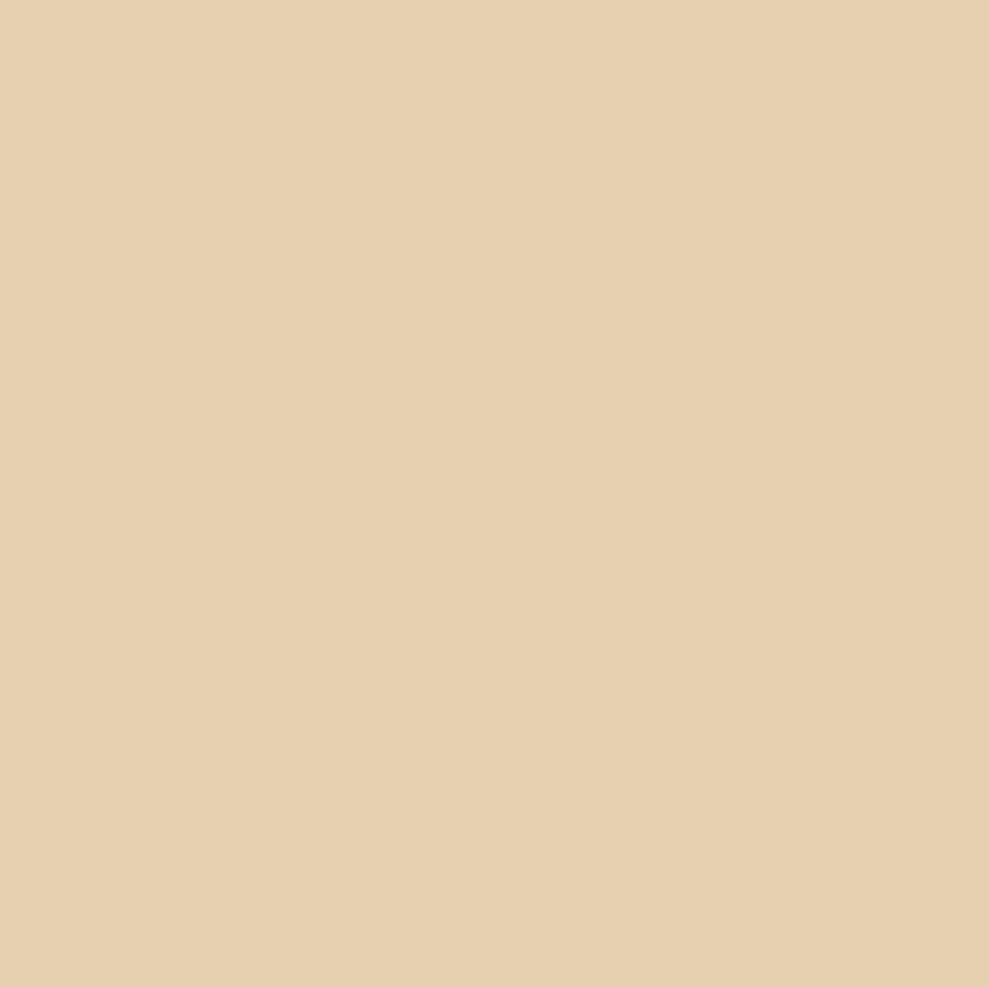 Cielo e Terra Sabbia MAT 59,8x59,8 керамогранит
